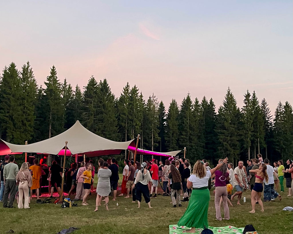 HippieTrance Ticket 2026