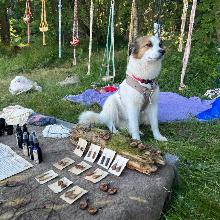 HippieTrance Ticket 2026